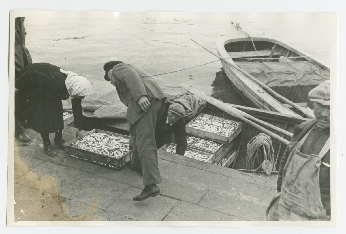 Finnish fishermen with silk in the port of Tallinn