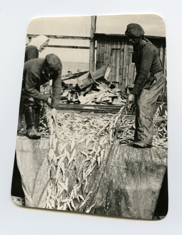 Fishermen from the fishing net