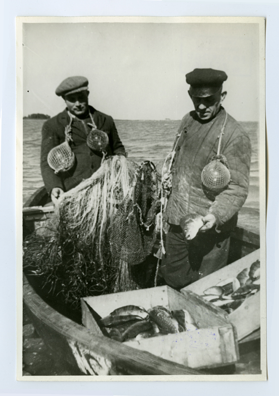 The fishermen of the "crushing" collhose a. Aus (parents of the boat) and m. Alas with fish catches