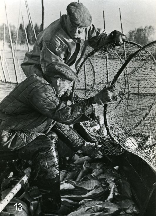 Photo set with views of Saaremaa. Fishermen in Saaremaa.