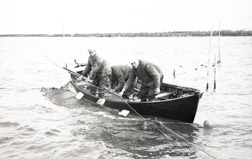 North Coast Coloss fishermen in the sea to repair the bristle
