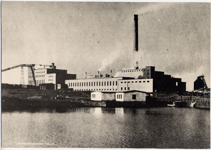 Kehra sulphate cellulose factory. Arh. Johann Ostrat