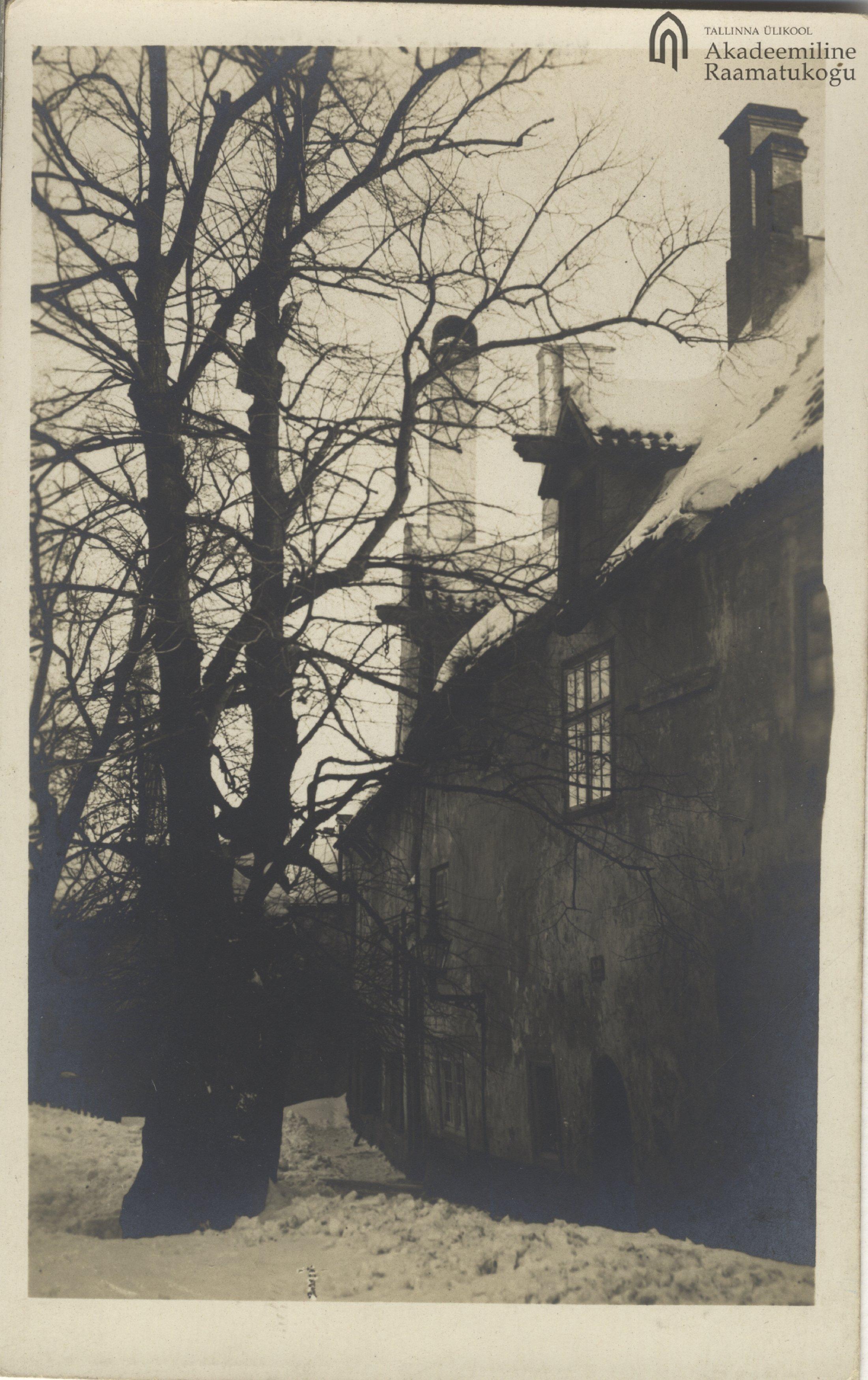 The courtyard of the Niguliste Church