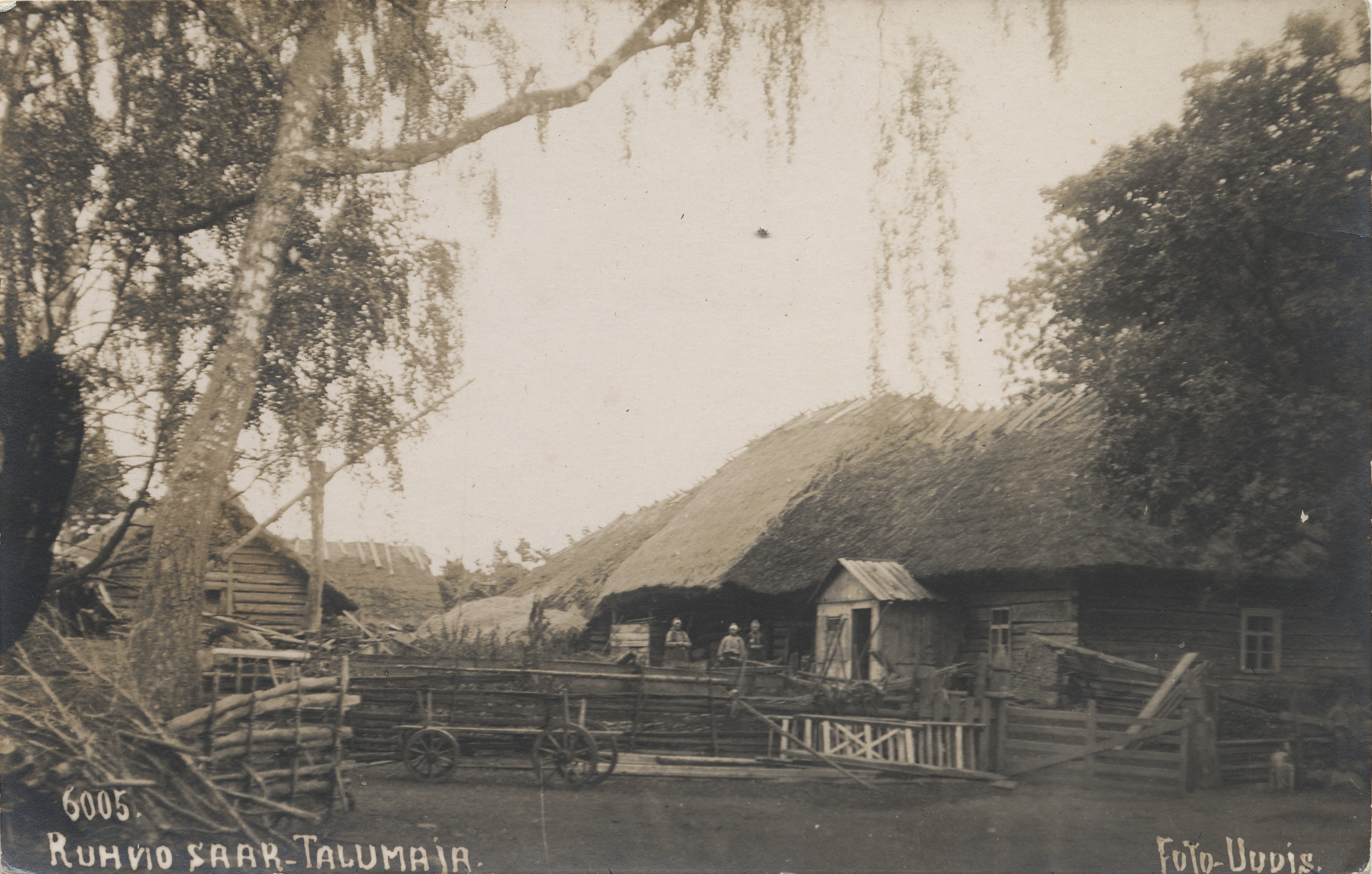 Ruhno Island : farmhouse