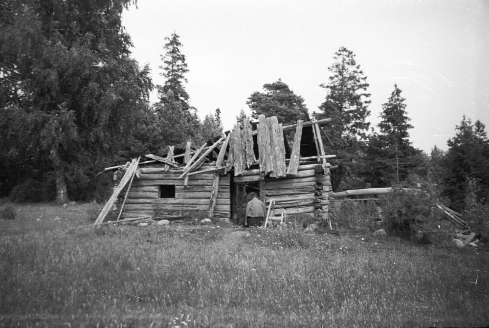 Pair-sun of Kadaka farm in Kõpu village