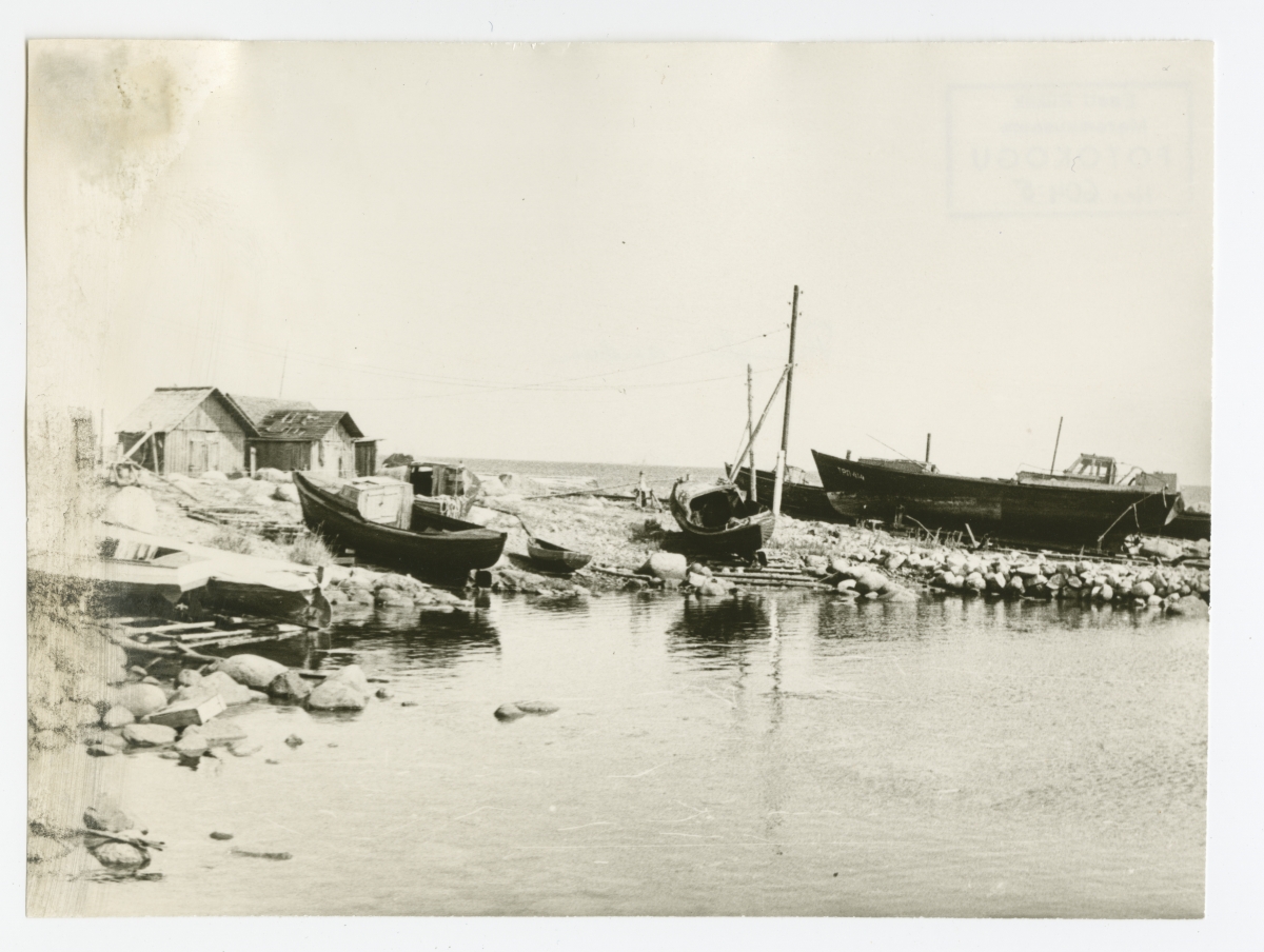 Cabbages and network coaches at Prangli harbor