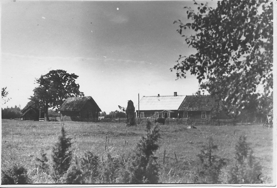 Höbringi Järens farm