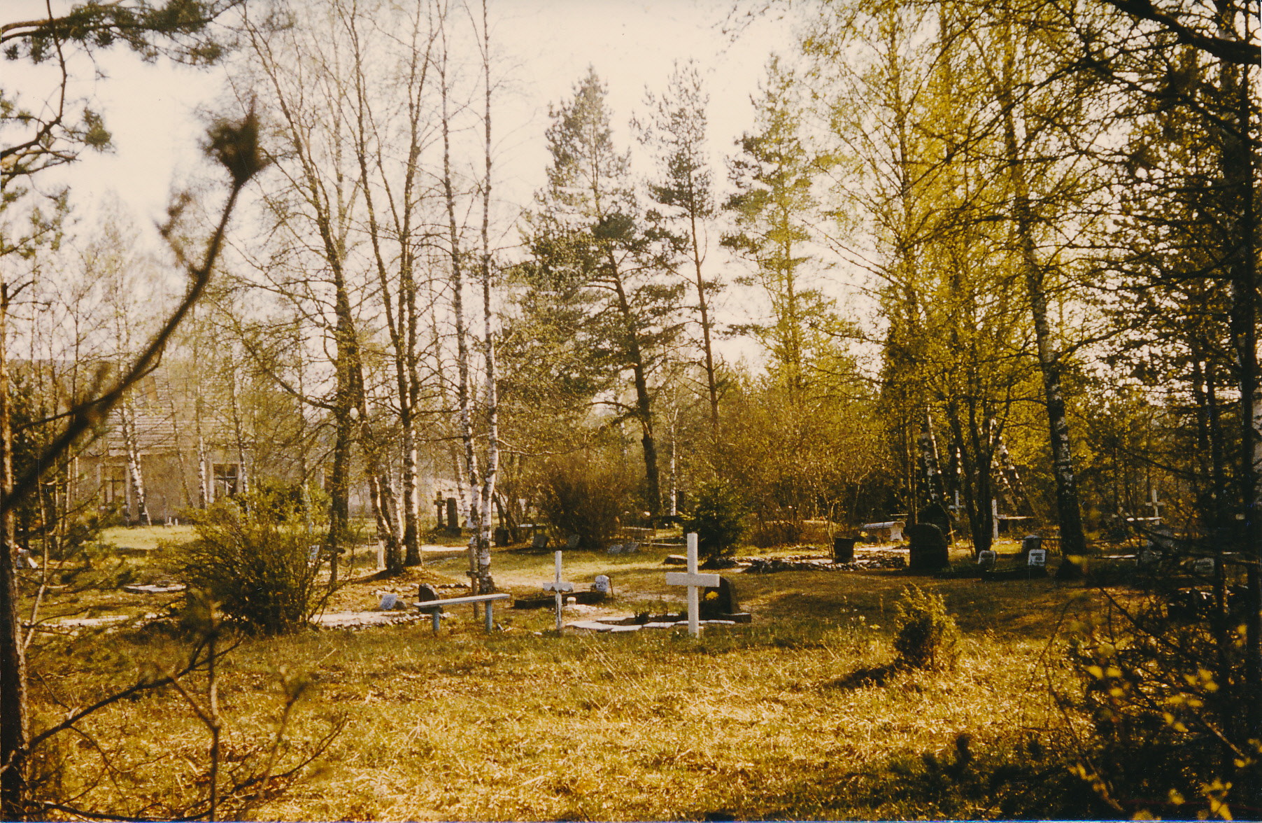 Rooslepa cemetery in 1981.