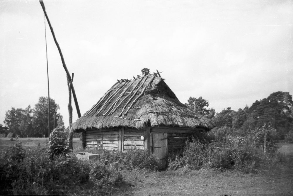Vedra village Heringa farm sauna