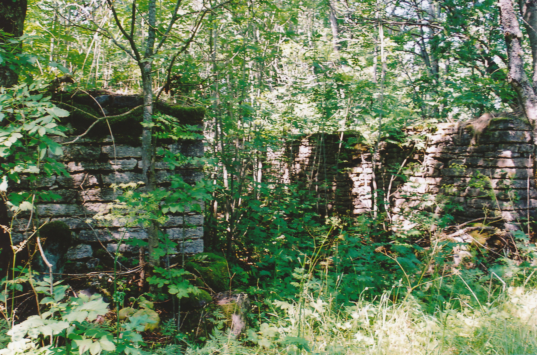 Suur-pakri Island, House walls in S-P Suurküla. July 11th. 2002.