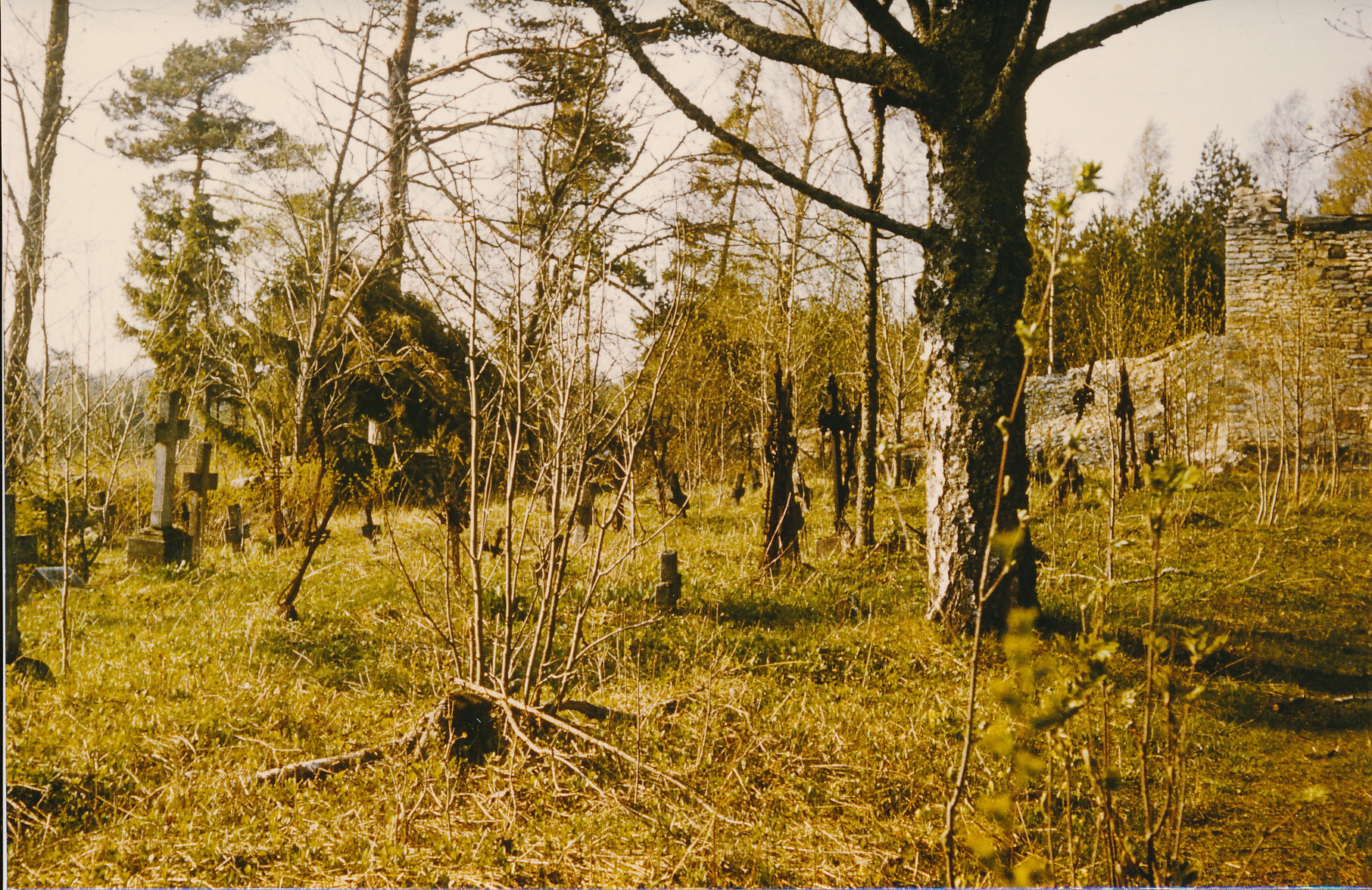 Rooslepa cemetery in 1981.