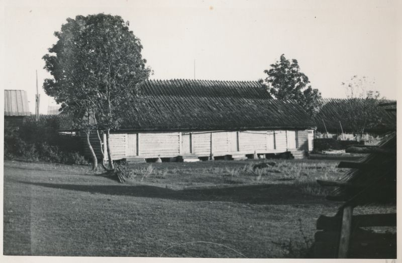 Photo. Five-door sheep in Hullos. Summer memories from Vorms in the album. 1933/34. Photo: J.F. Luikmil.