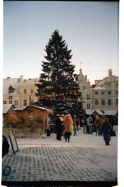 Christmas Tree on Tallinn Raekoja Square