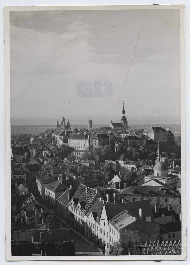 View from the Oleviste Tower to Toompea.