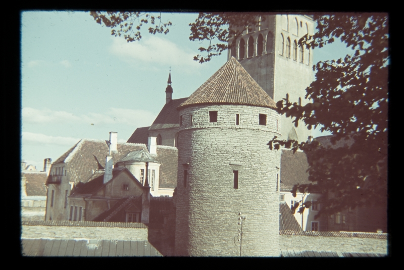 View from Rannamägi to the city wall tower, behind the roofs of buildings, Oleviste Church.