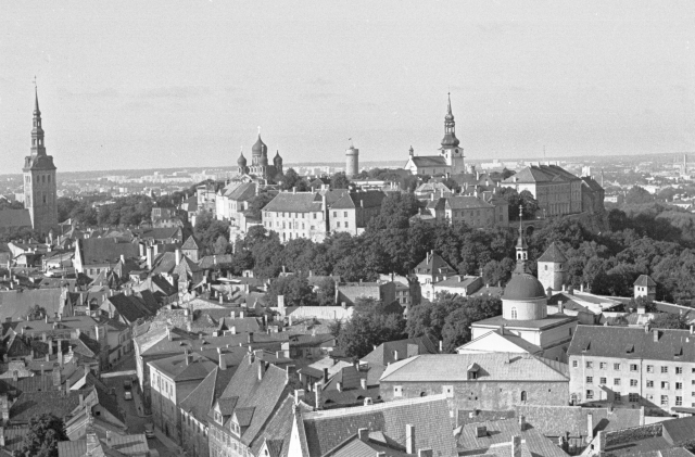 Old Tallinn. View of the Old Town.