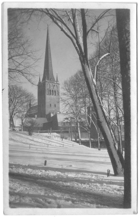 Photo postcard. Oleviste Church in Tallinn