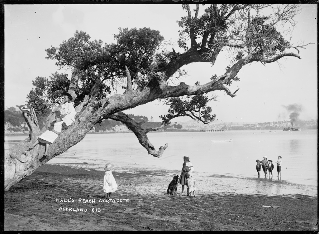 Children playing on tree at Hall's Beach, Northcote, Auckland