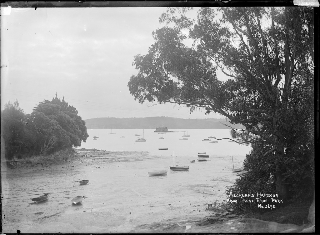 View of Auckland Harbour and Watchman Island from Point Erin Park
