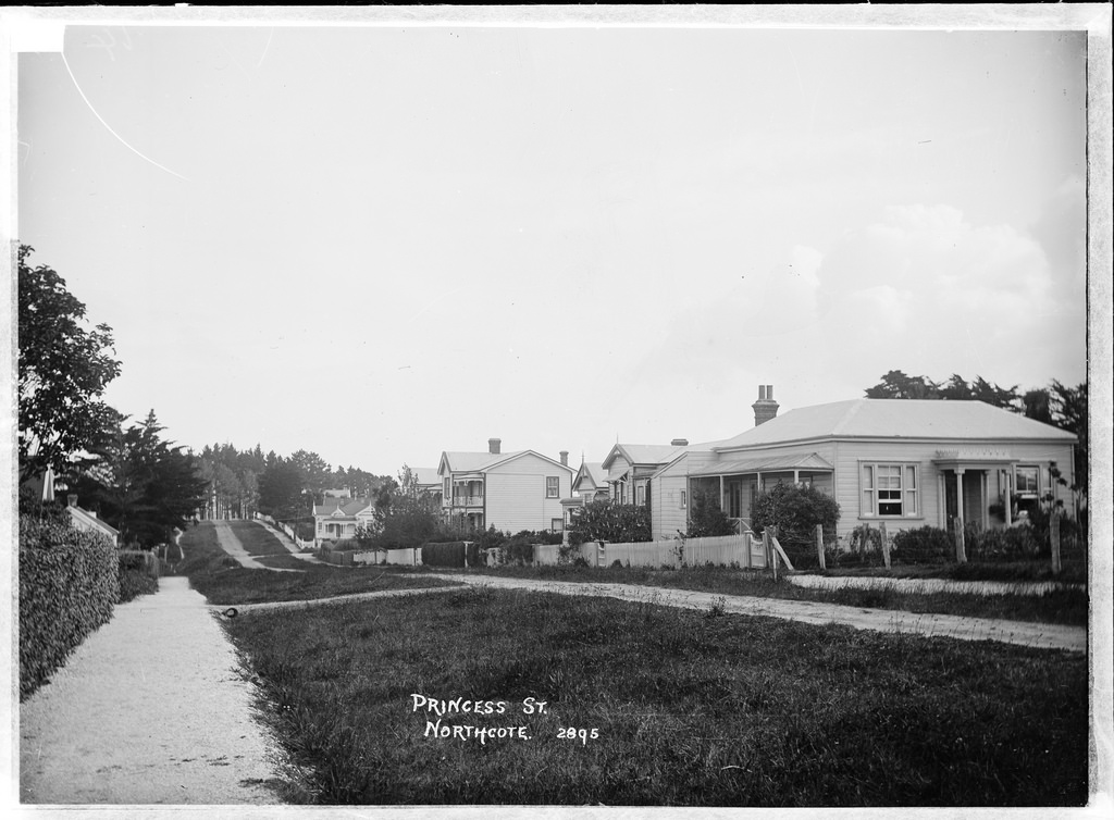 View of Princess Street, Northcote, Auckland