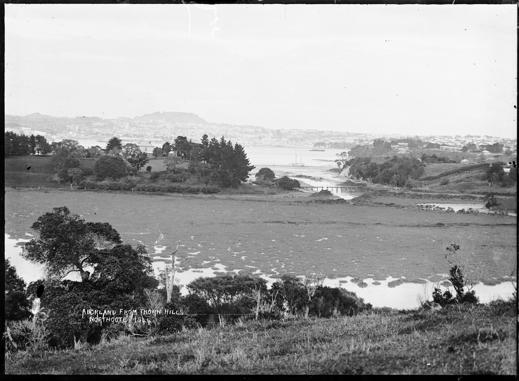 Auckland from Thorn Hills, Northcote