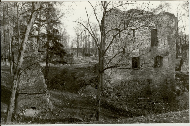Photo Paide Vallimäe ruins 1985