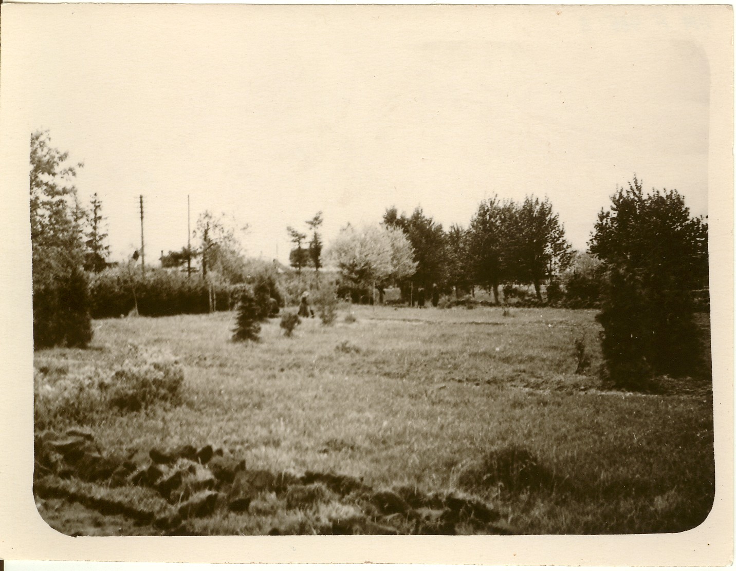 Photo, Lembitu Park Paides
