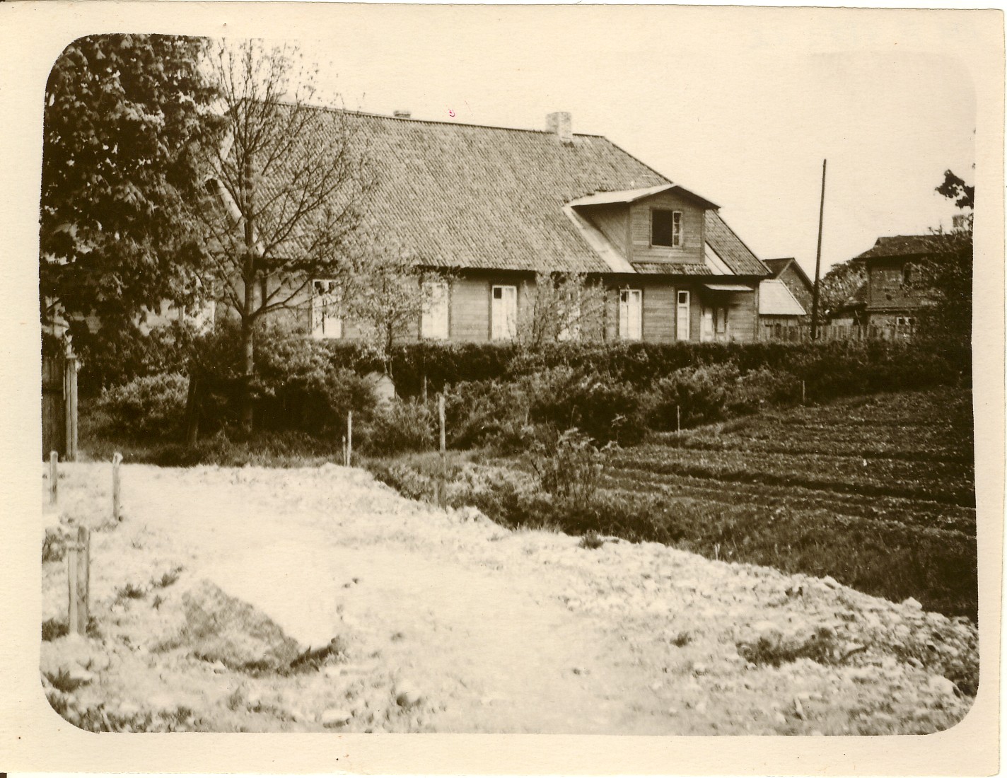 Photo, Paide Nakkushaigla
