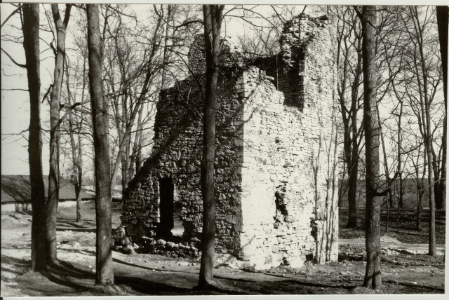 Photo Paide Vallimäe ruins 1989