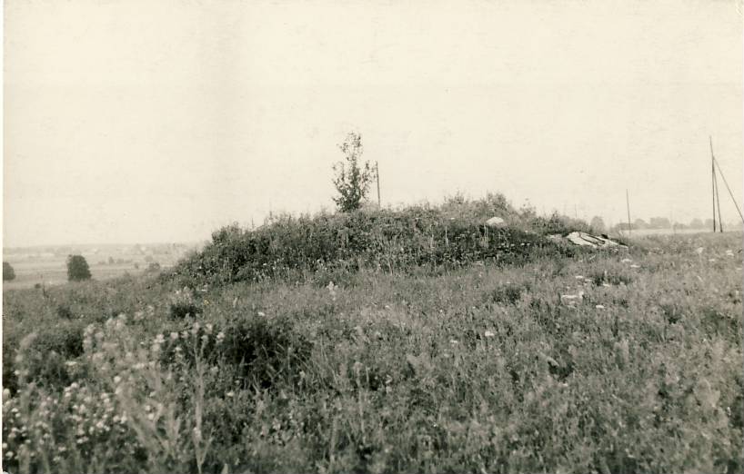 Kivikalme near Vihula city hill