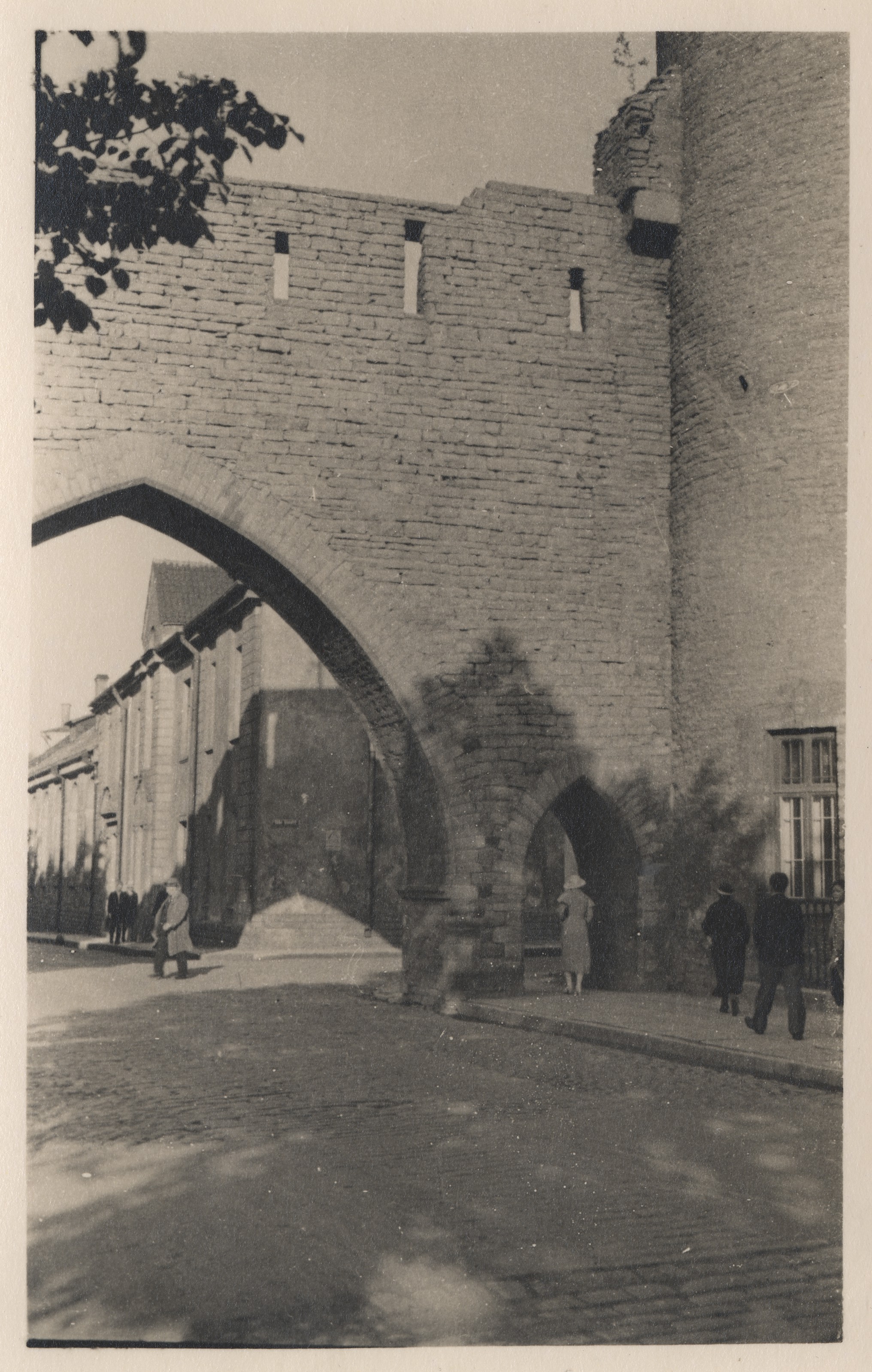 [tallinn] : [Cloostrigate]