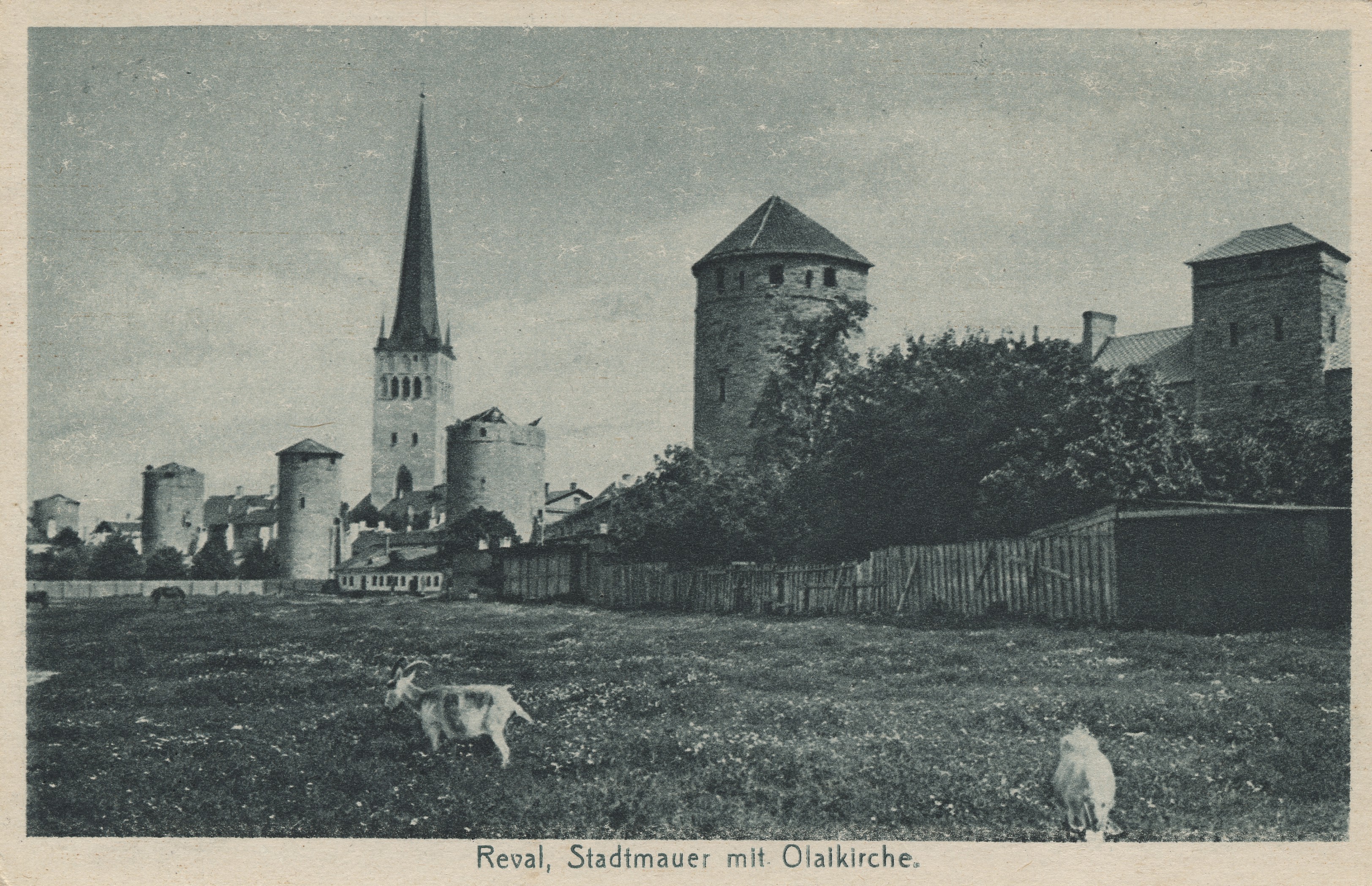 Reval : City Wall with Olaikirche