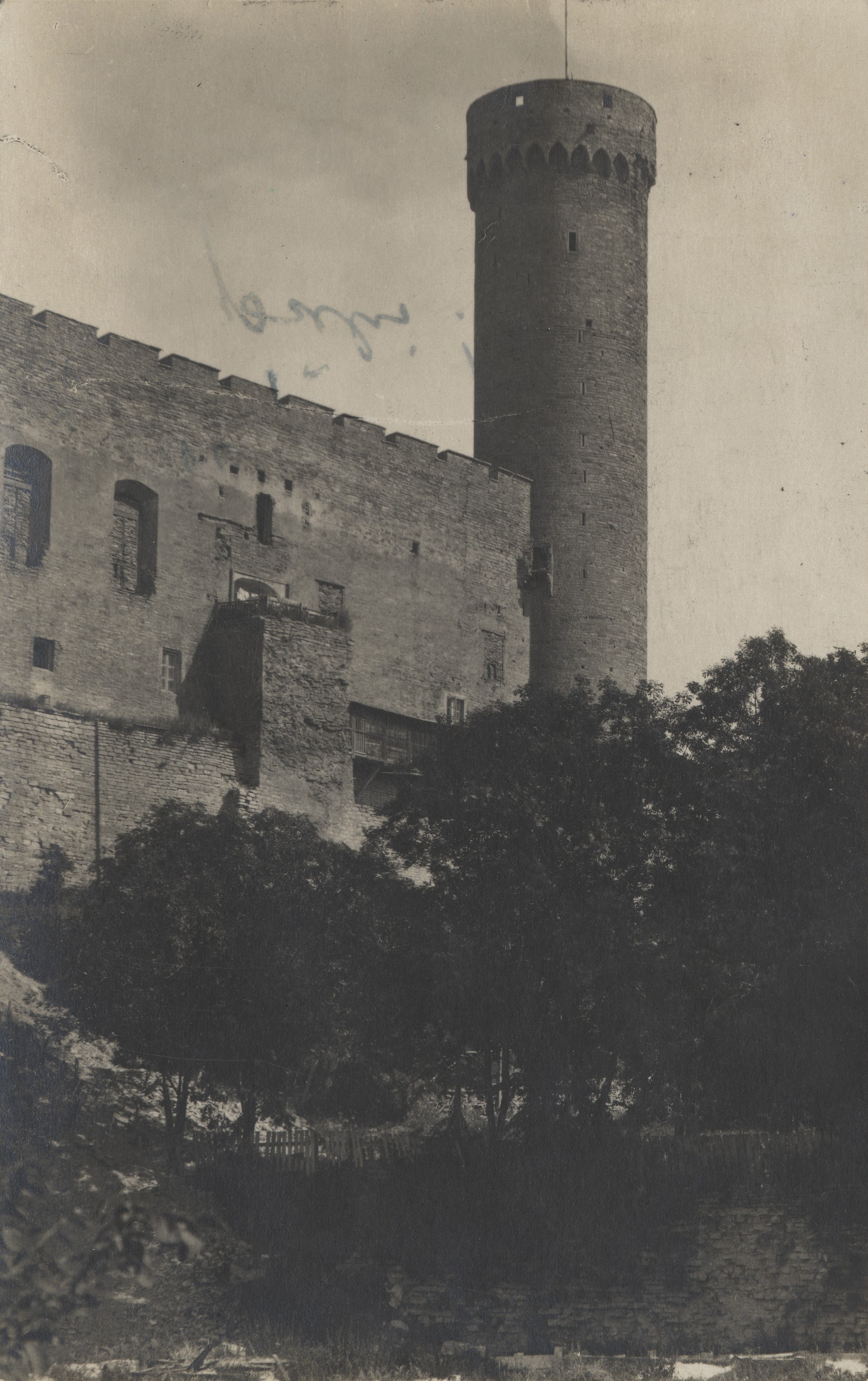 [tallinn] : [Pikk Hermann]