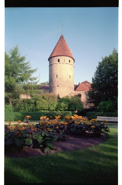 View of Köismäe Tower in Tallinn