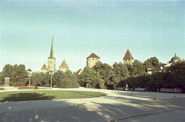 View of Tallinn. The tower field.