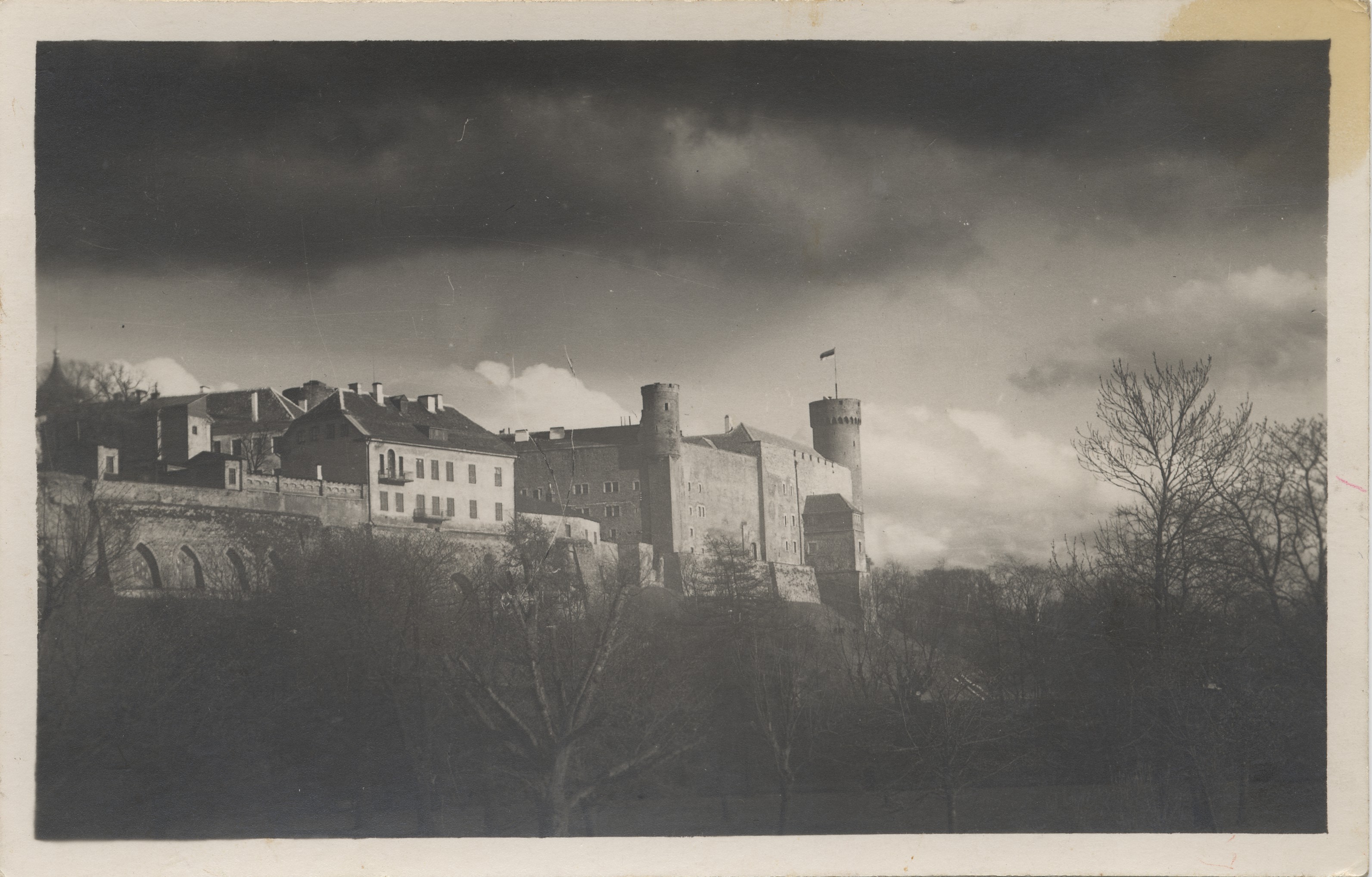 [tallinn] : [view of Toompea]