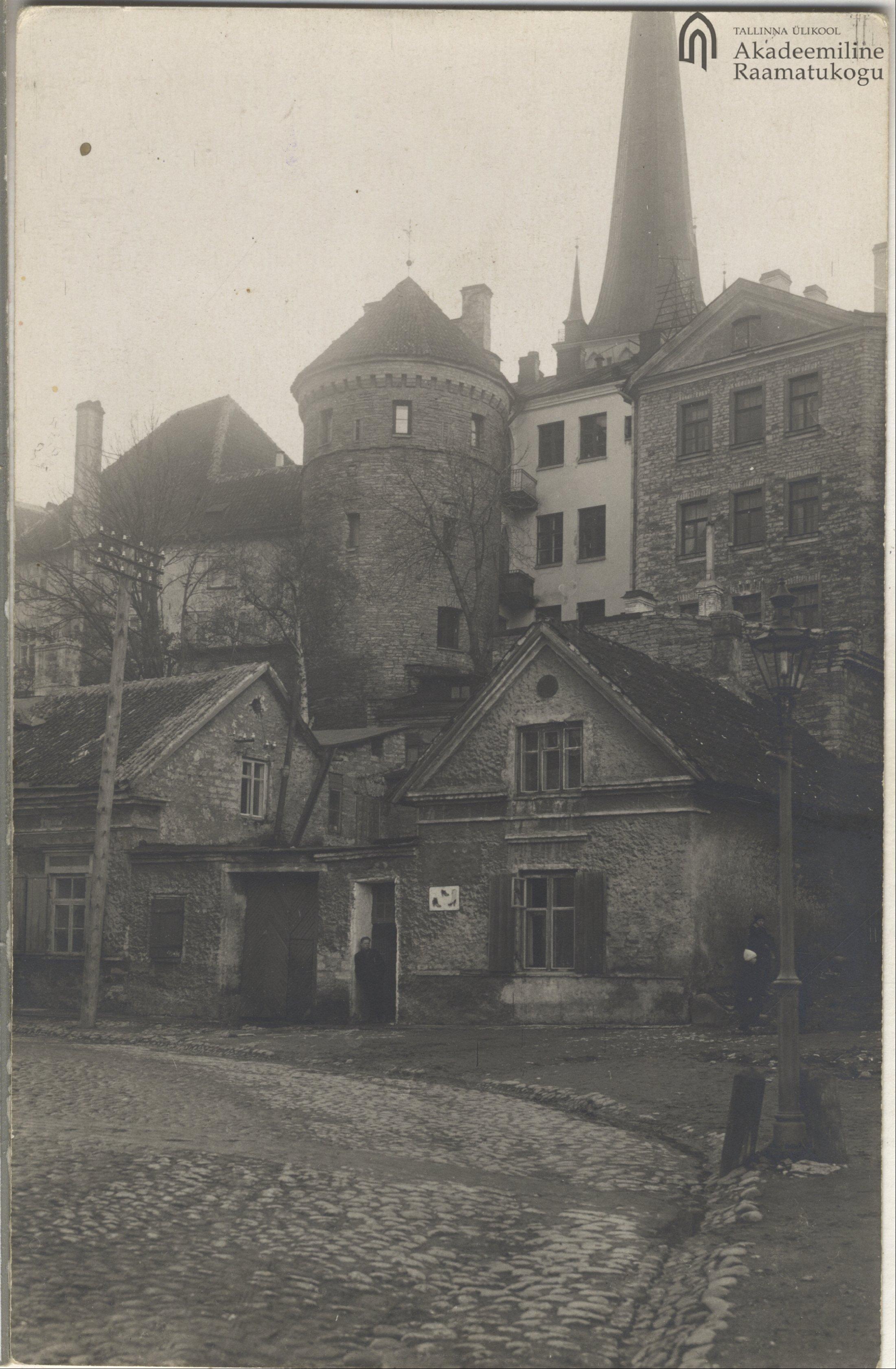 Tallinn. Hattorpe-rear tower