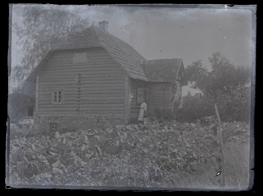 Summer garden and a living house, next to a living house, a woman with a plekkämbri.