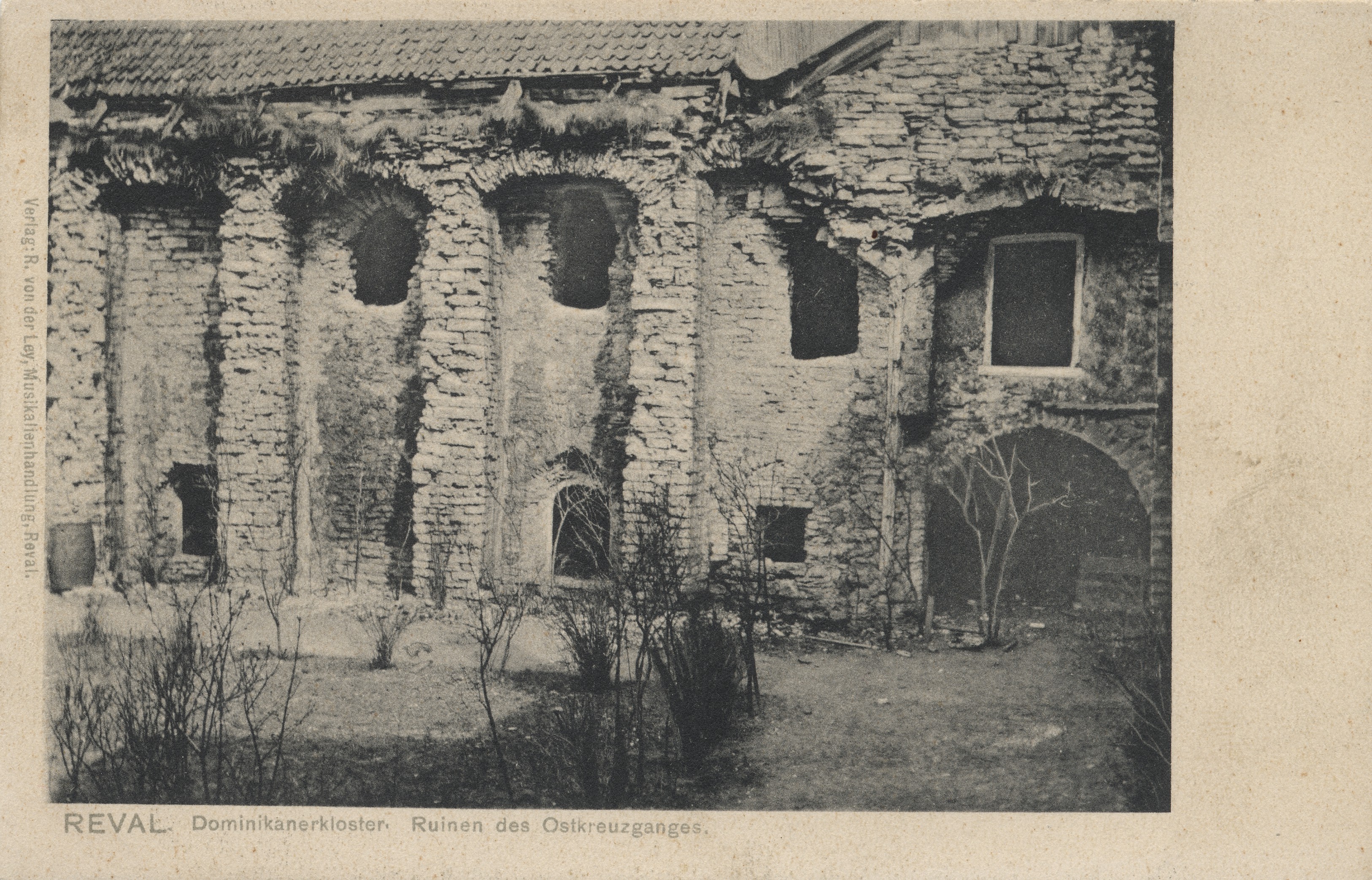 Reval : Dominican monastery : Ruinen des East Crossganges