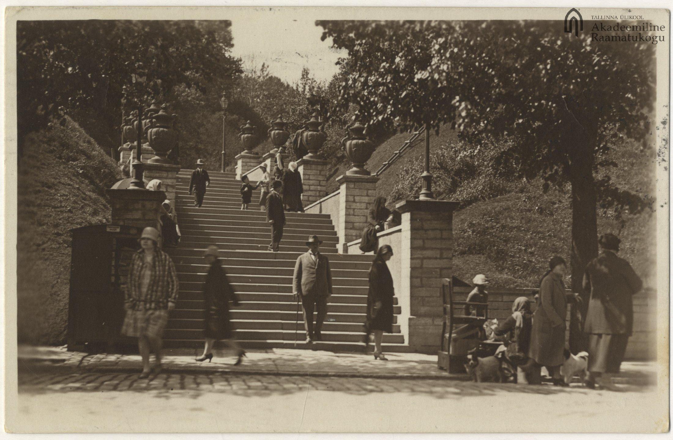 Tallinn. Mayer stairs