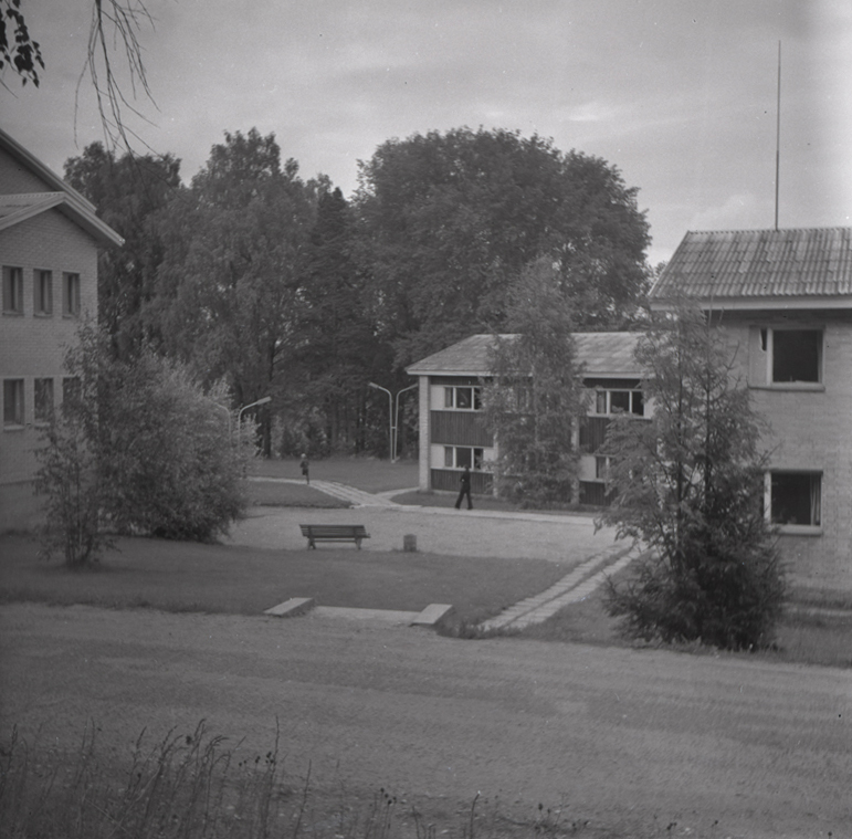 Kääriku sports base, 17 views of the buildings. Architects Uno Tölpus, Peeter Tarvas