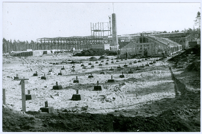 Photo. Palivere EMT greenhouse foundation extension posts in 1970.