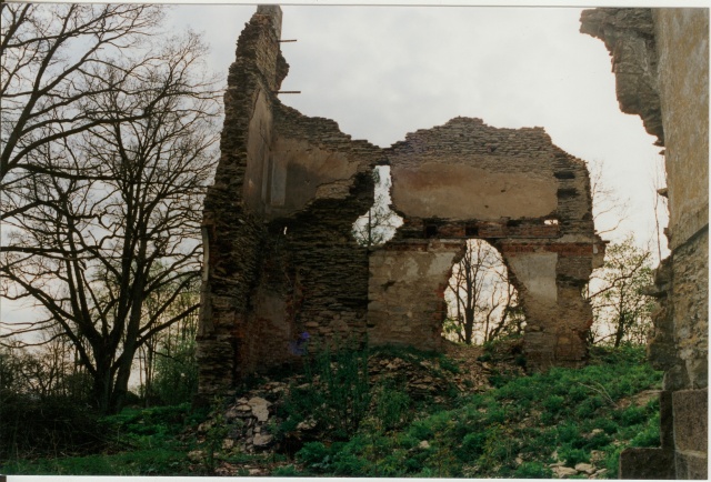 Paint photo The ruins of Lehtse Manor 1998