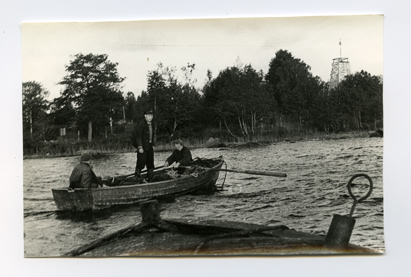 Consulting Angerjarüs in Vienna