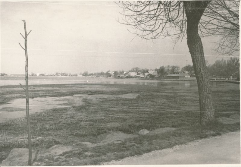 Photo. View of the Little Viig and the nearby houses. Spring 1960. Photographer. R. Kalk.