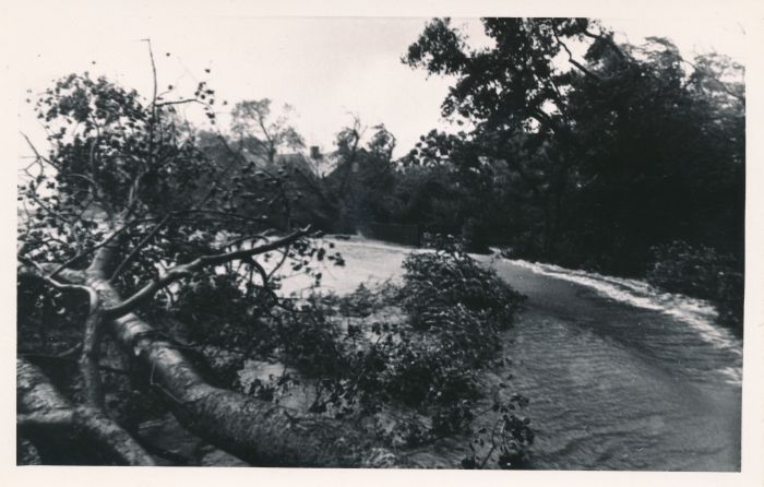 Photo. View of the Chaikovsky puyage road on the shore of the Gulf of Haapsalu, during storm and floods. 6th of August 1967. Photographer. R. Kalk.