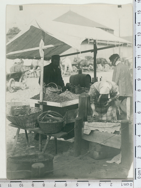 Berries - and apple sellers in Tartu 1912