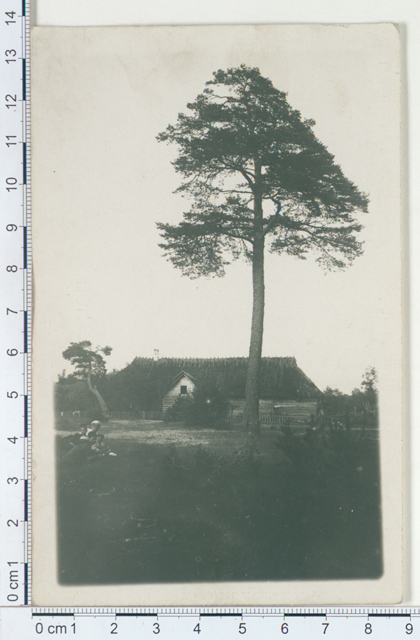 Klooga, farmhouse 1913