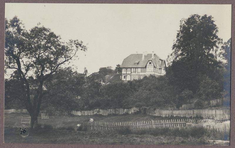 Photo, Viljandi, g. Rosenberg house, approx. 1910
