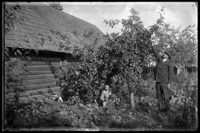 Man and woman in apple tree garden